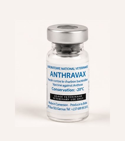 Flacon du vaccin ANTHRAVAX du LANAVET