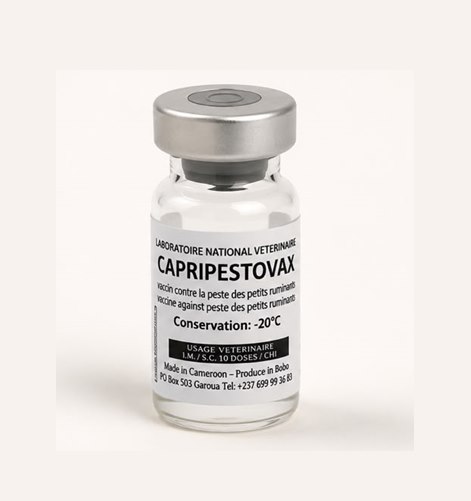 Flacon du vaccin CAPRIPESTOVAX du LANAVET