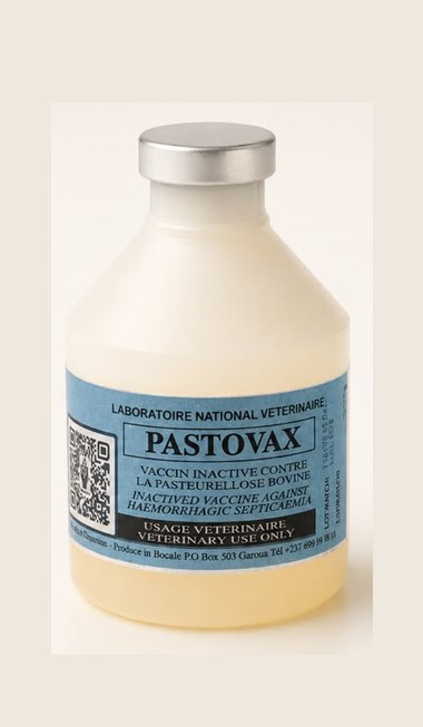 Flacon du vaccin PASTOVAX du LANAVET