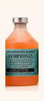 Flacon du vaccin SYMPTOVAX du LANAVET